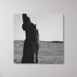 Sentinal Leinwanddruck