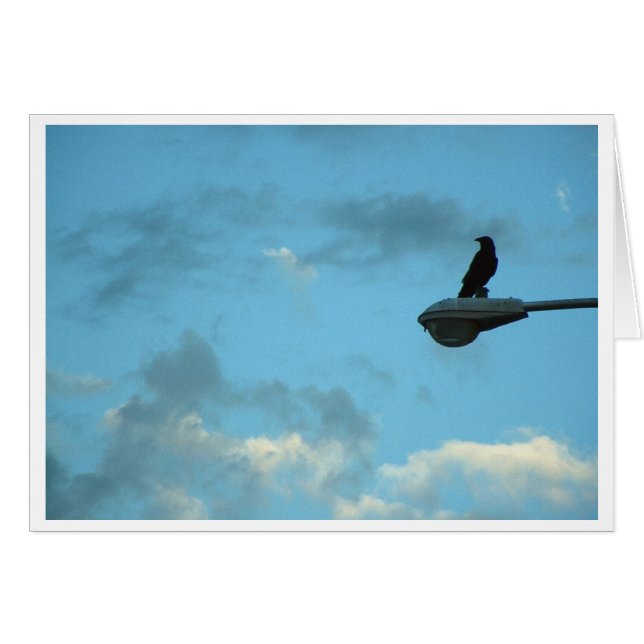 Sentinel (Vorderseite (Horizontal))