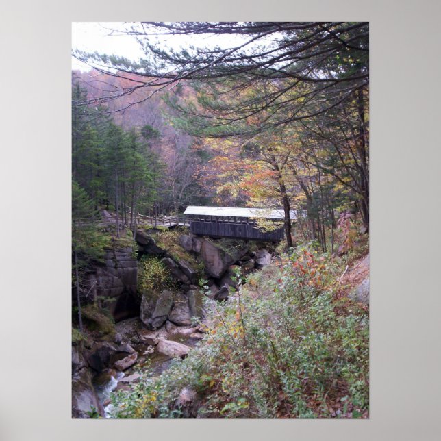 Sentinel Bridge Fall Foliage Poster (Vorne)