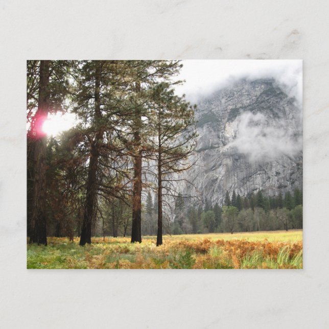 Sentinel Meadow Postkarte (Vorderseite)