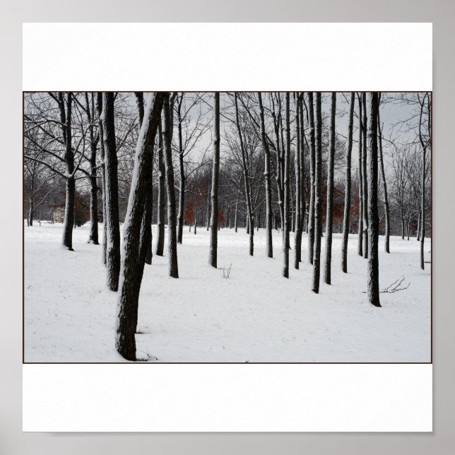 SENTRIES POSTER (Vorne)