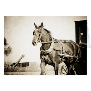 Sepia Amish Pferd und Buggy