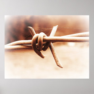 Sepia Barbwire nahes hohes photographisches Plakat