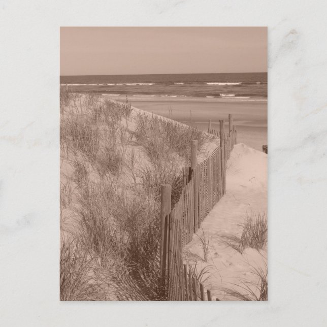 Sepia Beach Scene Postkarte (Vorderseite)