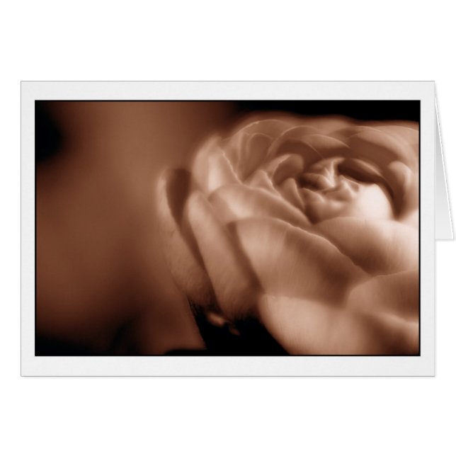 Sepia-Begonie 2 (Vorderseite (Horizontal))