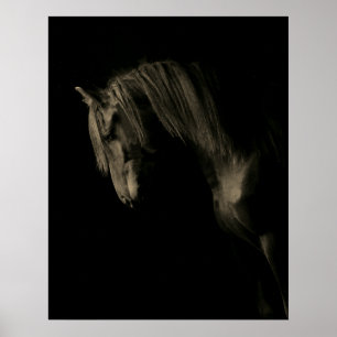 Sepia Black Horse Poster