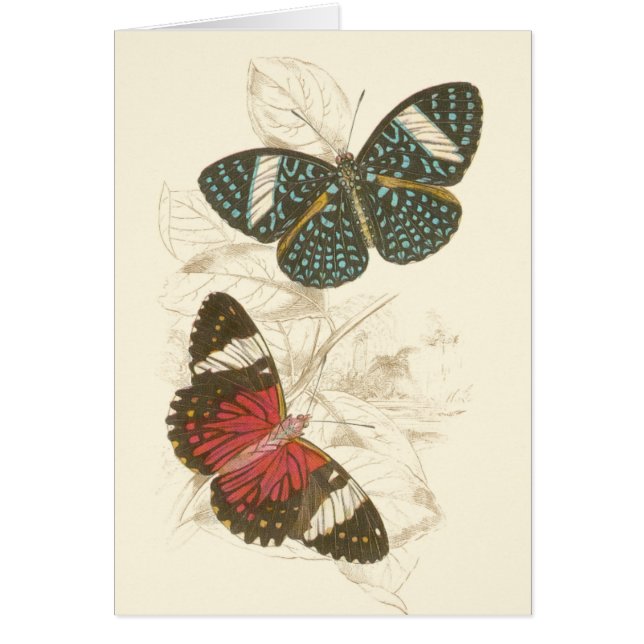 Sepia Blätter mit bunten Schmetterlingen (Vorne)