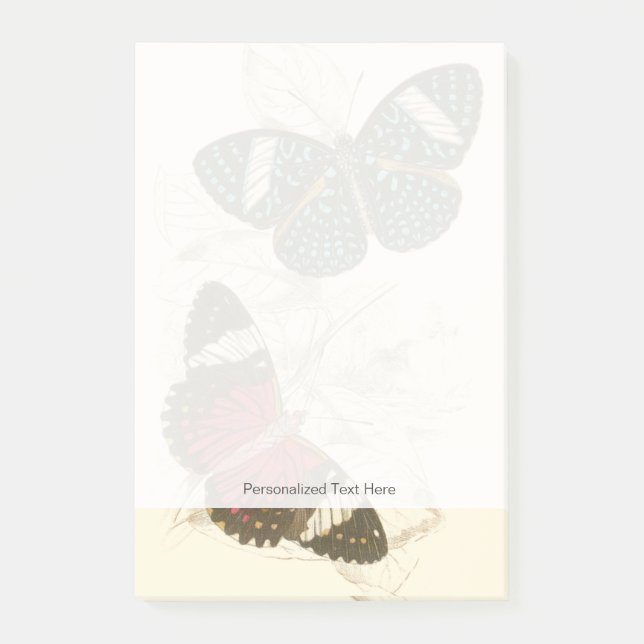 Sepia Blätter mit bunten Schmetterlingen Post-it Klebezettel (Vorderseite)