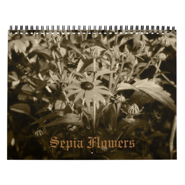 Sepia-Blume-Kalender Kalender (Titelbild)