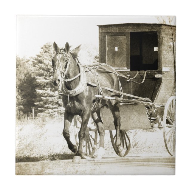 Sepia Buggy Fliese (Vorderseite)