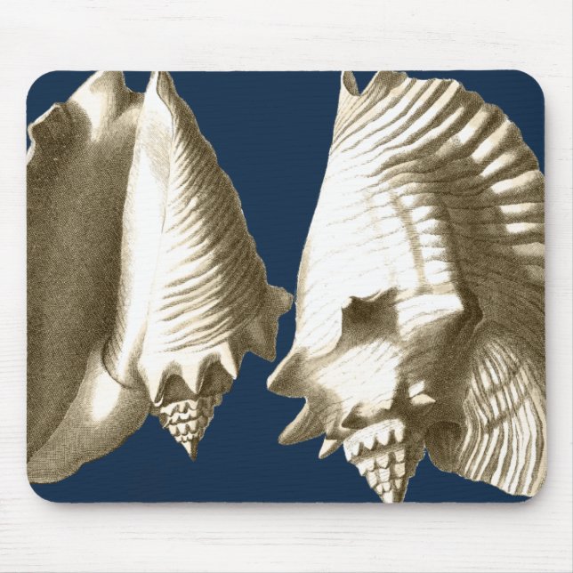 Sepia Conch Seashells Mousepad (Vorne)