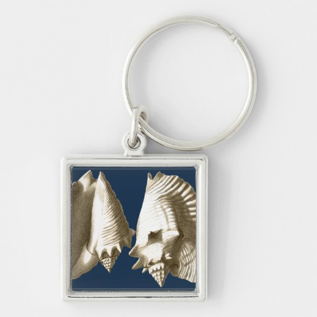 Sepia Conch Seashells Schlüsselanhänger (Vorne)