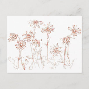 Sepia Daisies Pen und Tinte Blume Zeichnend Postkarte