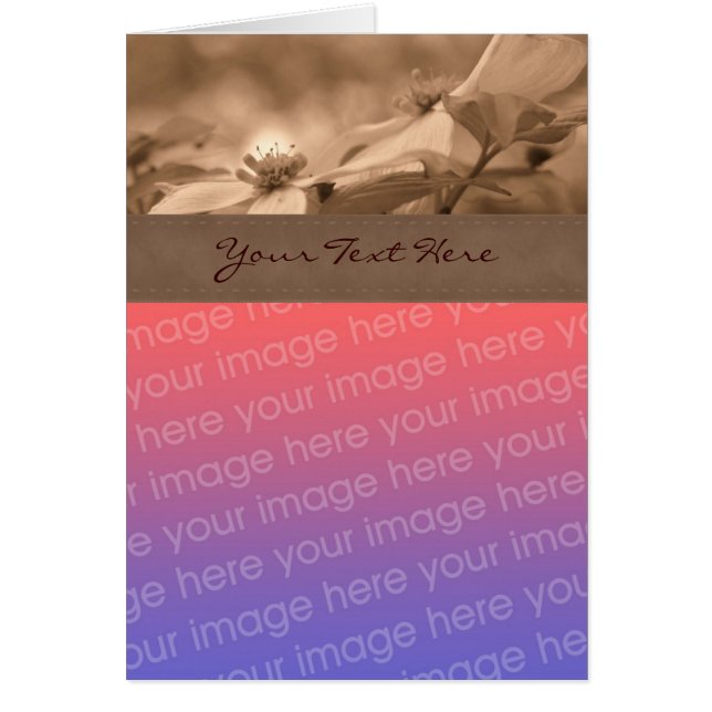 Sepia Dogwood Blume Foto-Karte (Vorne)