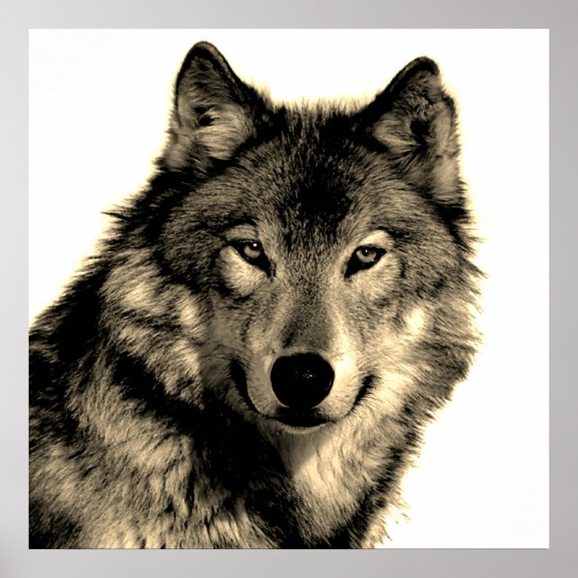 Sepia Einzigartiger Motivierend Wolf Poster (Vorne)