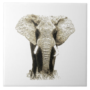 Sepia Elephant Fliese