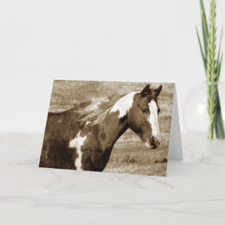 Sepia Flashy Mare, Geburtstag Karte