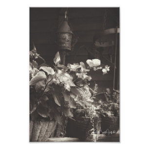 Sepia Floral Fotodruck