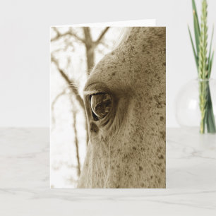 Sepia-Foto des entapplten grauen Horse Eye Karte