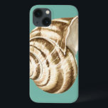 Sepia-gestreifte Muschel auf aquamarinem Case-Mate iPhone Hülle<br><div class="desc">Megan Meagher bekannt für ihre einfachen Kunststücke. Dieses ist ein großes Bild der dekorativen Kunst das Seeleben mit einer gestreiften Tritonshorn Sepia-Muschel gefangennehmend. Erhalten Sie diesen Druck der feinen Kunst heute auf aquamariner Farbe auf Ihrem Zazzle Produkt.</div>