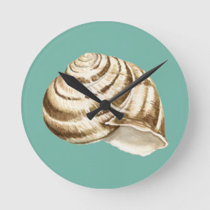 Sepia-gestreifte Muschel auf aquamarinem Runde Wanduhr