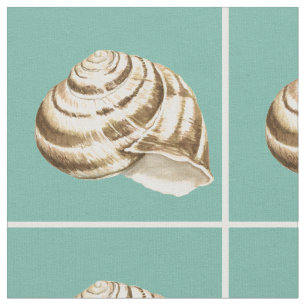 Sepia-gestreifte Muschel auf aquamarinem Stoff
