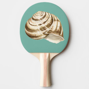 Sepia-gestreifte Muschel auf aquamarinem Tischtennis Schläger