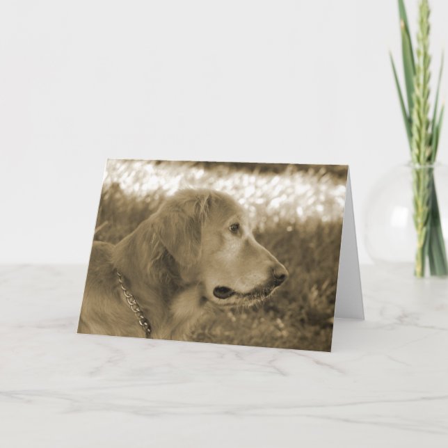 Sepia Golden Retriever Karte (Vorderseite)