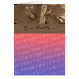 Sepia Hibisken Blume Foto-Karte