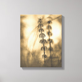 Sepia Horsetail Pflanze Leinwanddruck