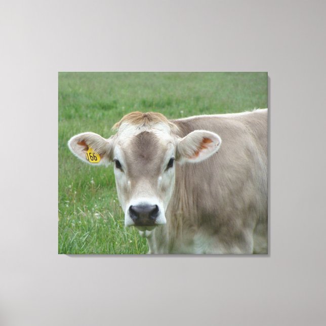 Sepia Jersey Cow Portrait Leinwanddruck (Vorderseite)