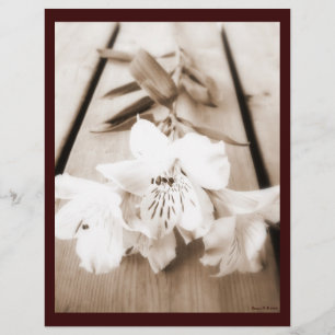 Sepia Lily Letterhead