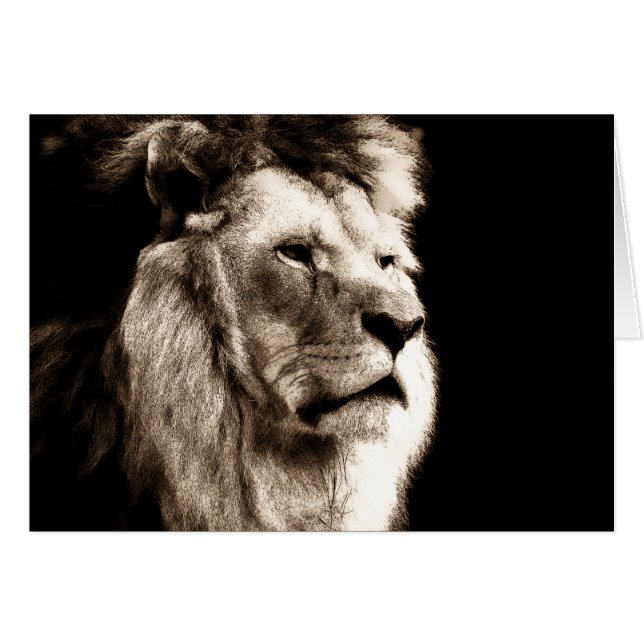 Sepia Lion (Vorderseite (Horizontal))