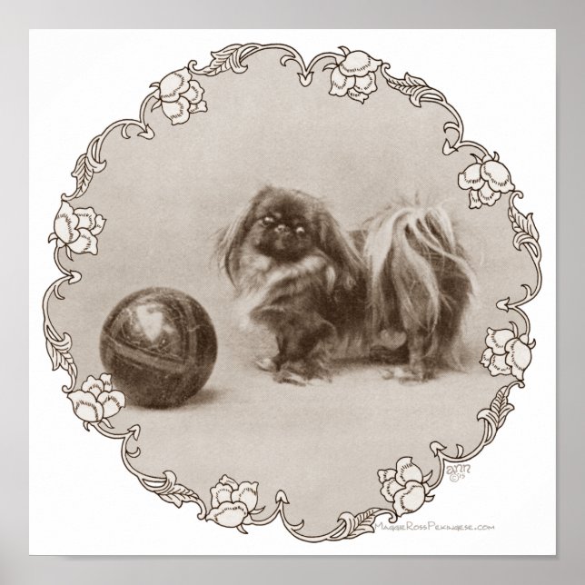 Sepia Pekingese Portrait Poster (Vorne)
