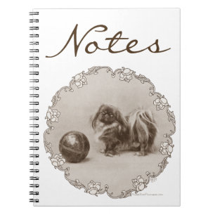 Sepia-Pekingese-Porträt Notizblock
