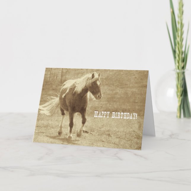 Sepia Pinto Pony Birthday Karte (Vorderseite)
