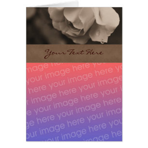 Sepia Rose Floral Foto Card