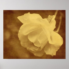 Sepia-Rose mit Raindrops im Vintagen Look Poster