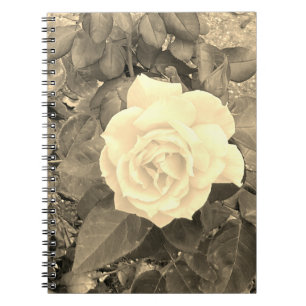 Sepia-Rose Notizblock