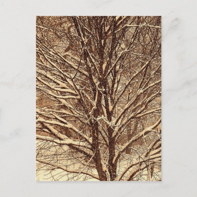 Sepia-Schnee Postkarte (Vorderseite)