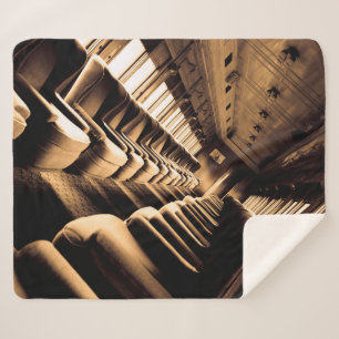 Sepia Steam Train Interior Sherpadecke