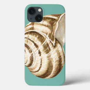 Sepia Stripte Muschel auf Aquamarin iPhone 13 Hülle