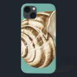 Sepia Stripte Muschel auf Aquamarin Case-Mate iPhone Hülle<br><div class="desc">Megan Meagher ist bekannt für ihre einfachen Kunstwerke. Dies ist ein großartiges Bild von dekorativer Kunst,  die das Meeresleben mit einer gestreiften Muschel aus Koncha einfängt. Holen Sie sich diesen feinen Kunstdruck noch heute in aquamariner Farbe auf Ihrem Zazzle-Produkt.</div>