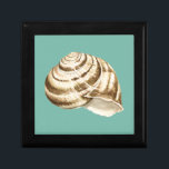 Sepia Stripte Muschel auf Aquamarin Schmuckschachtel<br><div class="desc">Megan Meagher ist bekannt für ihre einfachen Kunstwerke. Dies ist ein großartiges Bild von dekorativer Kunst,  die das Meeresleben mit einer gestreiften Muschel aus Koncha einfängt. Holen Sie sich diesen feinen Kunstdruck noch heute in aquamariner Farbe auf Ihrem Zazzle-Produkt.</div>