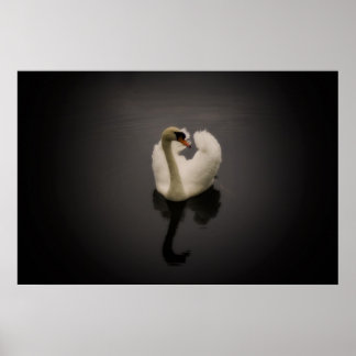 Sepia Swan Print Poster