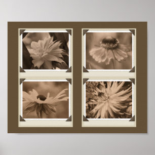 Sepia Tint-Blume Collage Nature Poster