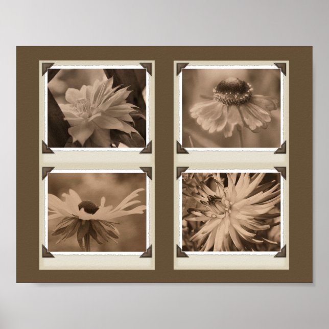 Sepia Tint-Blume Collage Nature Poster (Vorne)