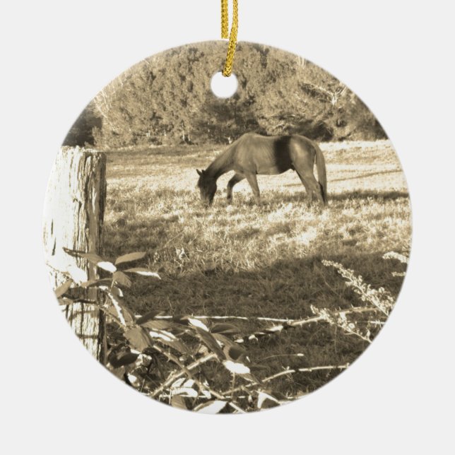 Sepia ton Brown Pferd und Zaun Keramikornament (Vorne)
