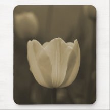 Sepia-Ton-Single-Tulpe-Blume mousepad Geschenk