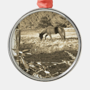 Sepia tone Brown horse and fence Ornament Aus Metall